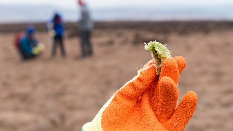 A gloved hand holding a sphagnum moss plug with volunteers planting in the background